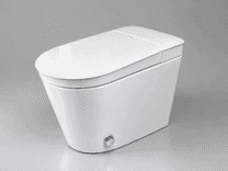 Напольный умный унитаз Wenston SZ2D